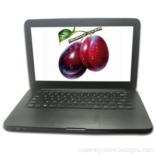 13.3-inch Laptop with Intel D2500 2/320GB/DVD Burner/1.3MP Camera and Microsoft Windows 7 OS